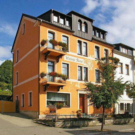 Pension Weisse Rose, Parkplatz, Fruehstueck, Wlan, Zentral Bad Elster Extérieur photo
