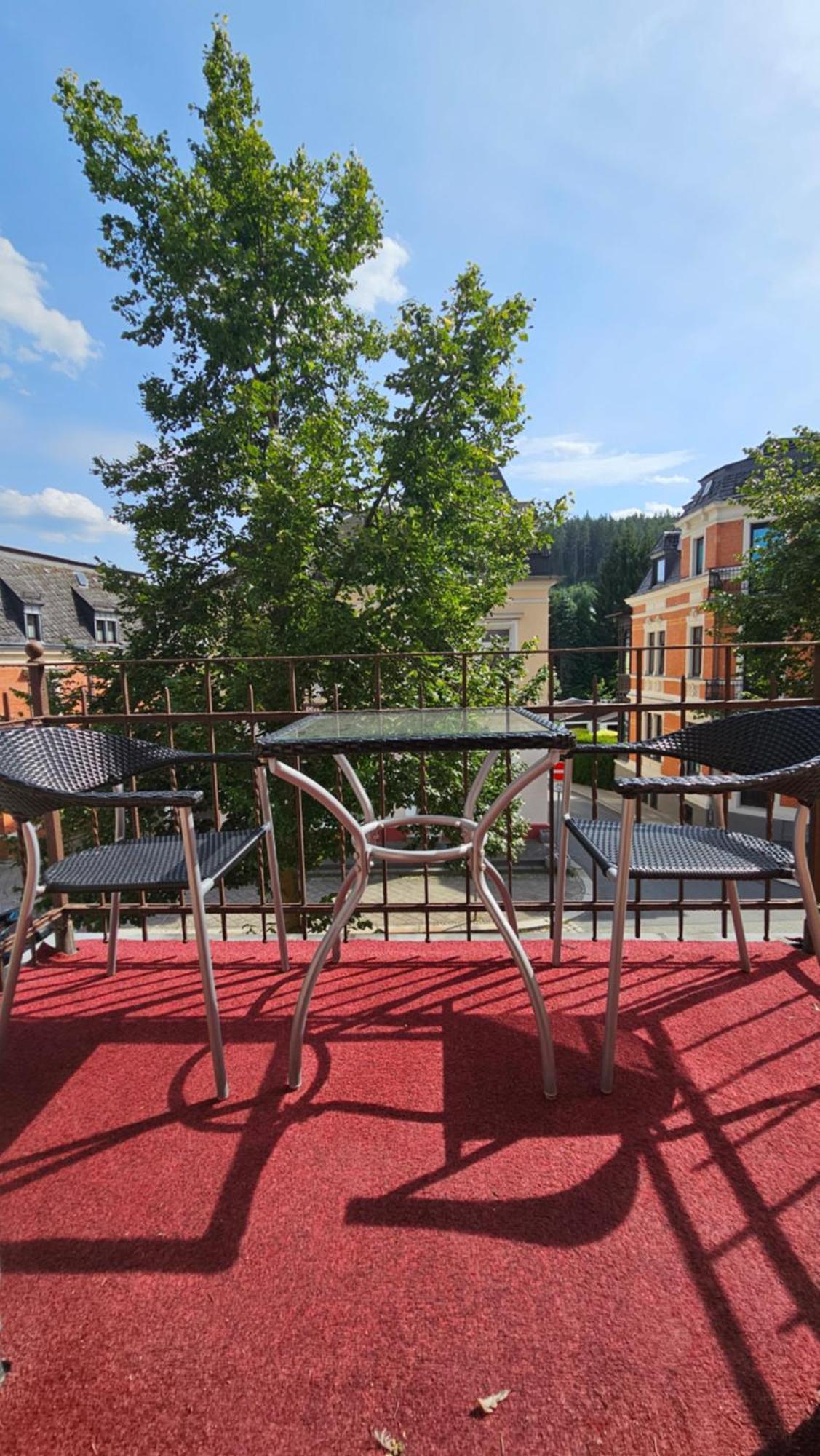 Pension Weisse Rose, Parkplatz, Fruehstueck, Wlan, Zentral Bad Elster Extérieur photo