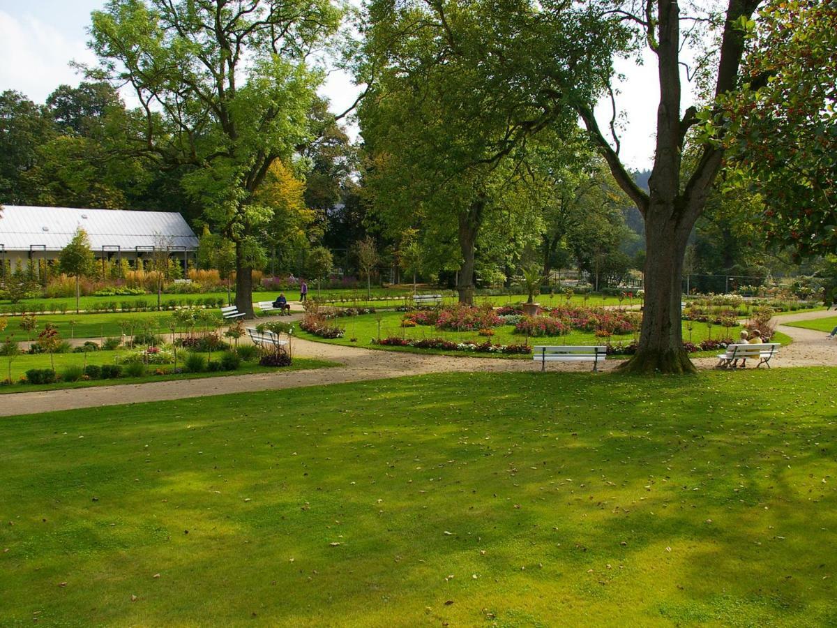Pension Weisse Rose, Parkplatz, Fruehstueck, Wlan, Zentral Bad Elster Extérieur photo