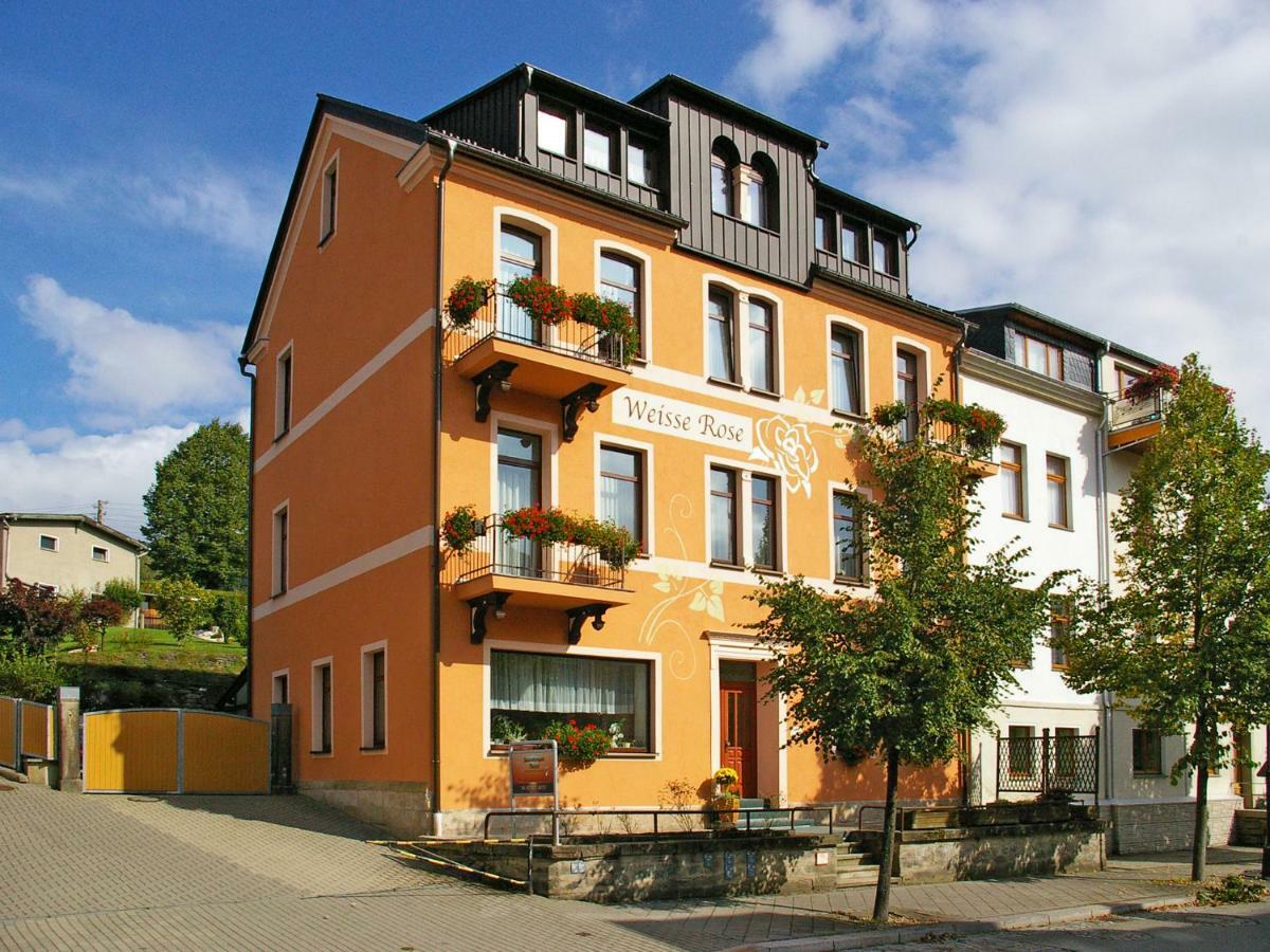 Pension Weisse Rose, Parkplatz, Fruehstueck, Wlan, Zentral Bad Elster Extérieur photo