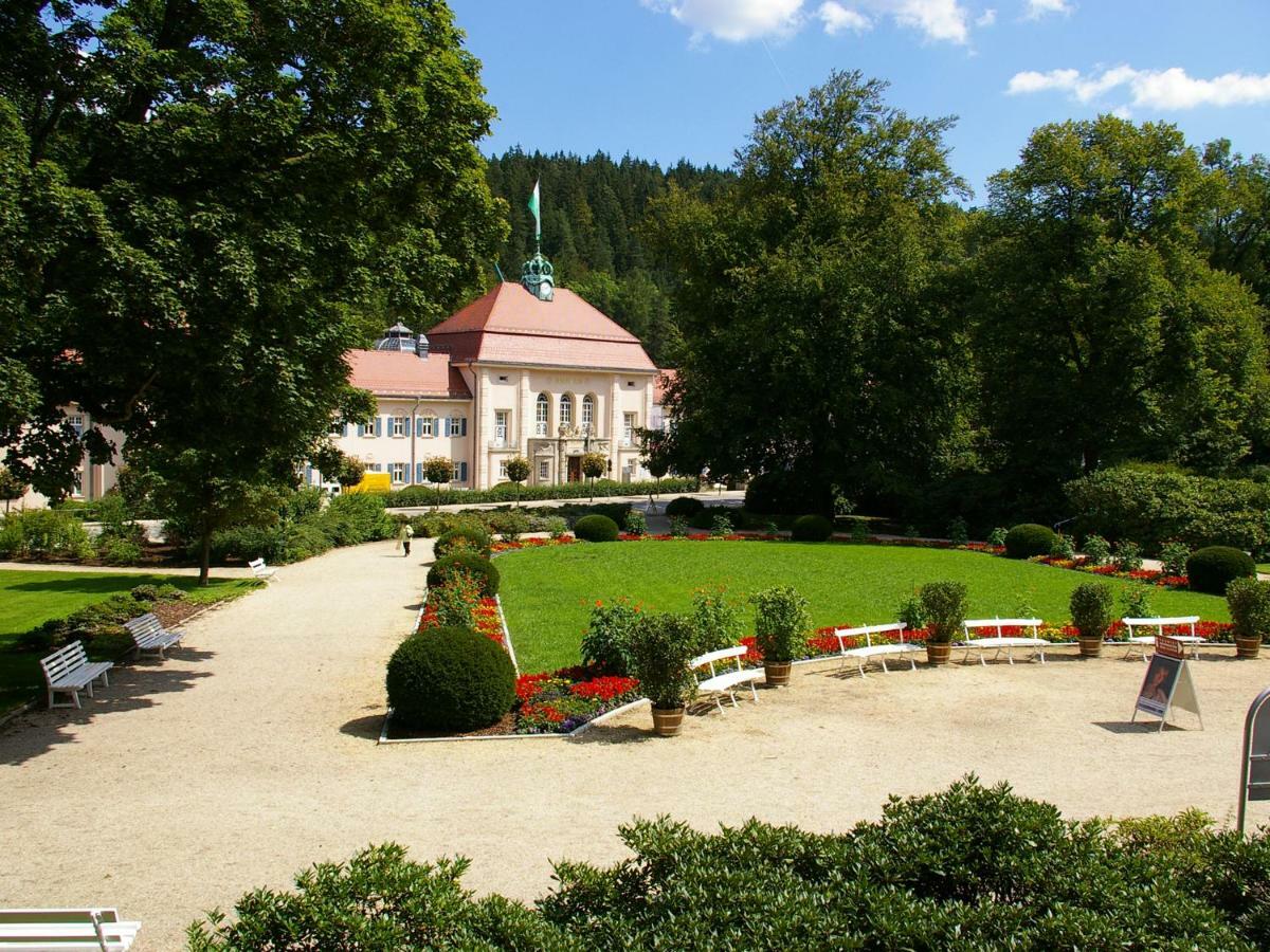 Pension Weisse Rose, Parkplatz, Fruehstueck, Wlan, Zentral Bad Elster Extérieur photo
